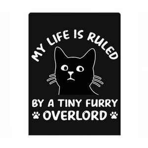 Cat Overlord Funny Magnet
